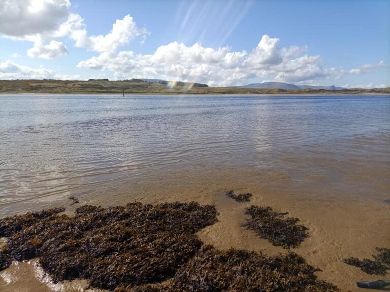 The Erne Estuary